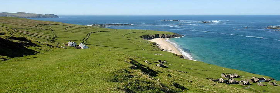 blasket islands boat trips